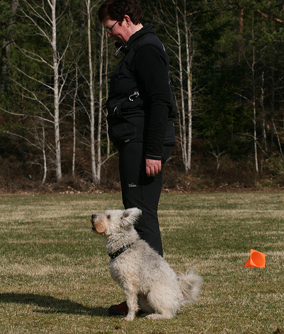140323_apportering2