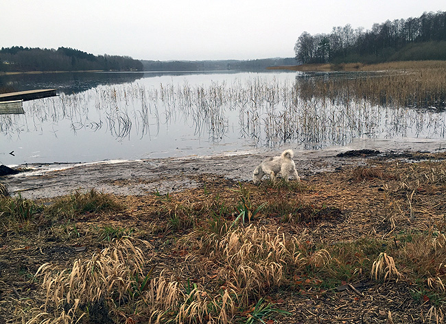 151114_dagenefter