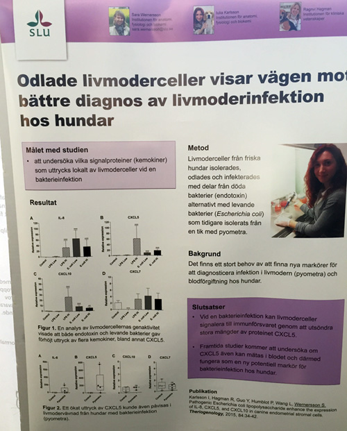 battre_diagnos_livmoderinfektion