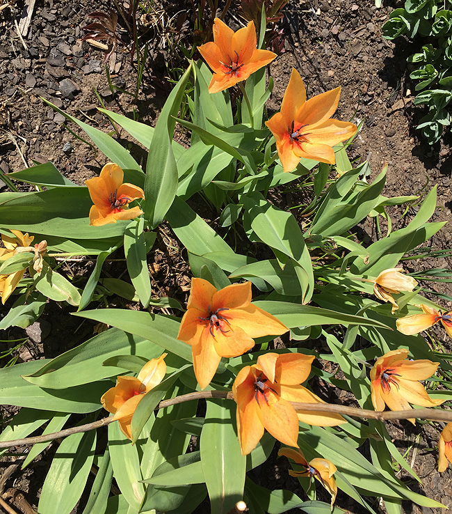 160502_1